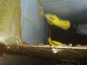 專業清洗油煙管道，天津保潔服務助力潔凈生活